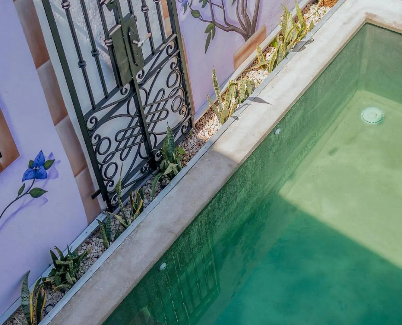 Casa Lila Apartment Merida